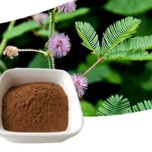 Mimosa Hostilis Root Bark 10kg